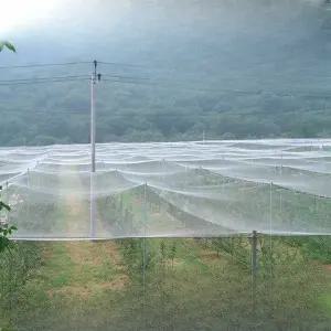 과일 조류 길이 방조망 보호 특수 과수원