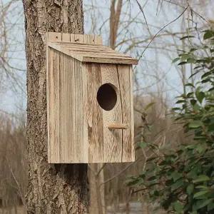 원목 새 둥지 테라스