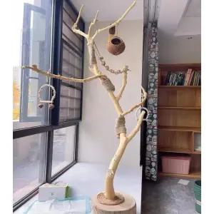 조류 놀이터 앵무새 정글짐 새장용품 원목 앵무새놀이터 새 나무 둥지