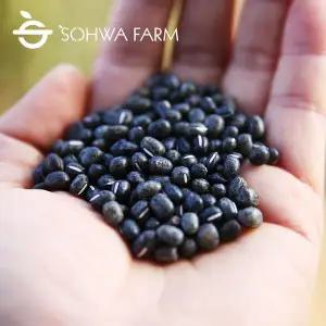 [소화농장] 2025년 햇 검은팥 1kg 거두 검정팥