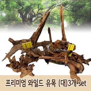 프리미엄 와일드 유목 (대) 3개 set/수초/어항/장식/가지유목/모스/열대어/구피/활착유목/천연유목