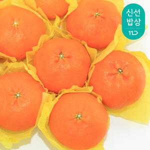 과즙뿜뿜! 새콤향긋 제주 레드향 가정용 선물용