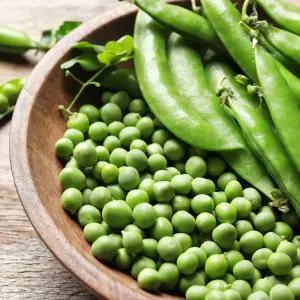 국내산 싱싱한 햇 껍질 완두콩 2kg