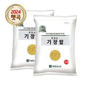 수입 기장쌀 10kg (5kgx2) / 좁쌀 잡곡 안전박스포장