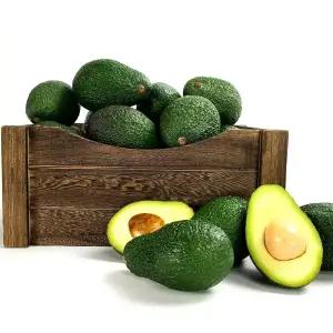 최상급 프리미엄 초신선 아보카도 15입(개당220g내외)
