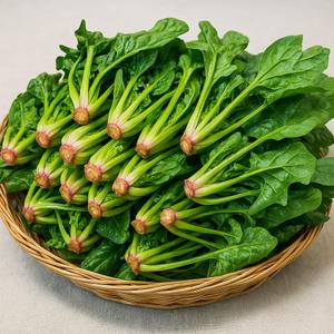 해풍맞고 자란 남해 보물섬 시금치 1kg,2kg,3kg,4kg