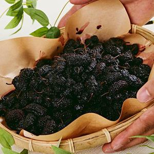 새콤달콤한 최상급 햇오디 1kg, 2kg, 4kg