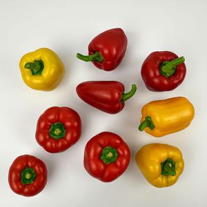 국내산 파프리카