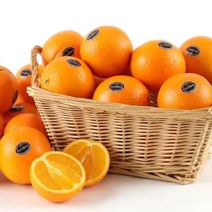 때깔찬 블랙라벨 네이블 썬키스트 퓨어스펙 PEELZ 오렌지 미국산 실중량 17kg내외 (76~85과/중과)