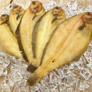 촉촉고소! 국내산 반건조 가자미