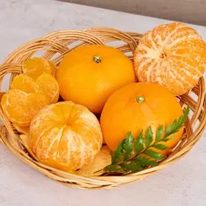 제주농장 밀감 못난이 천혜향 4.5kg