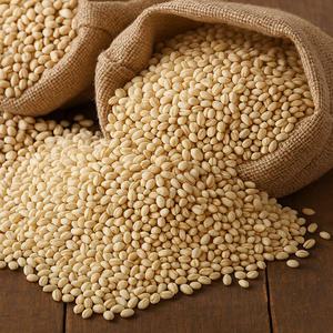 늘해랑 국내산 찰현미