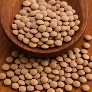 늘해랑 캐나다산 렌틸콩