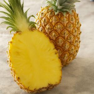 고당도 골드 파인애플