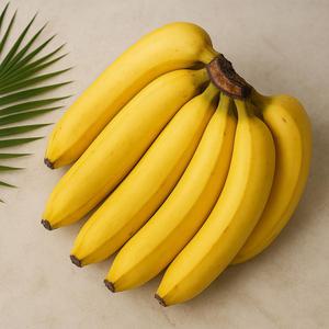 고당도 필리핀 바나나