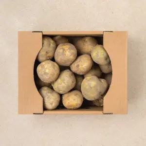 유명산지 감자 2kg (7~14입)