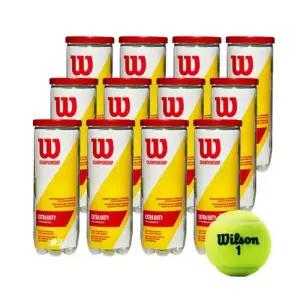 [정품] 윌슨 테니스공 챔피언쉽 엑스트라 듀티 36개 테니스볼 3구X12캔