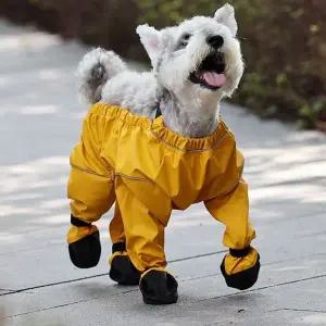 산책 옷 외출복 올인원 발보호 반려견 강아지점프수트