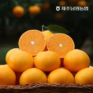 제주남원농협 천혜향 2kg 중대과 (6-10과 내외)