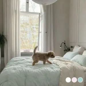 [롯데백화점]박홍근홈패션 미니츠 사계절 60수 텐셀 모달 차렵패드세트 퀸(Q)