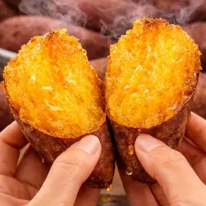 해남 황토밭 꿀밤 햇 고구마 10KG 특상