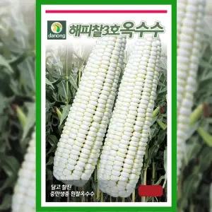 [파머씨드]옥수수 씨앗 해피찰 3호 250립 찰옥수수 종자 채소 텃밭