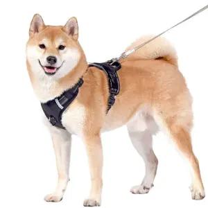 강아지 목줄 하네스 중대형 가슴 산책 가슴줄