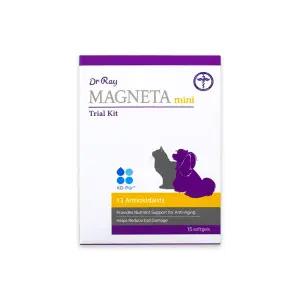 닥터레이 반려견 영양제 항산화제 마그네타 미니 트라이얼 키트 15정입 1개