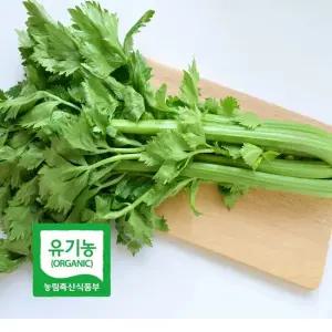 초록초록팜 국내산 유기농 샐러리 2kg 신선채소 산지직송 샐러드용 즙용 건강 야채 친환경 ZU