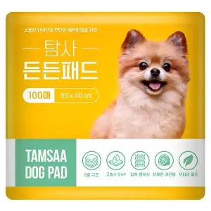 탐사 고흡수 든든패드 레몬향 100개입 (50x40cm)