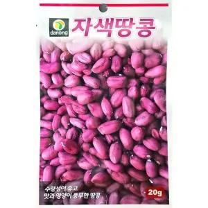자색땅콩 20g 다농 26년 땅콩씨앗