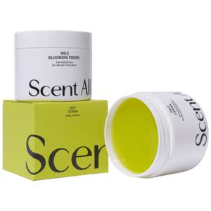 센트올 실내탈취제 블루밍프레쉬향 화장실 담배 새집증후군 실내 집안 홀애비 옷장 냄새 제거