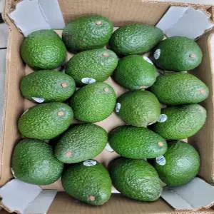 미미필터 후숙 편한 아보카도 20입