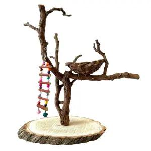 앵무새 횟대 놀이터 횃대 새집 원목 스텐 케이지 중형 나무