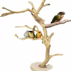 조류 사육장 스탠드 가정용 실내 스텐 날림장 새장 하우스 대형 소형 앵무새장 철제 키우기