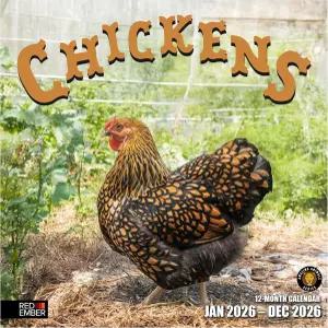 레드 엠버 치킨 2026 월 캘린더 12개월 12인치 x 24인치 오픈 두껍고 튼튼한 종이 홀리데이 선물 농장 동물