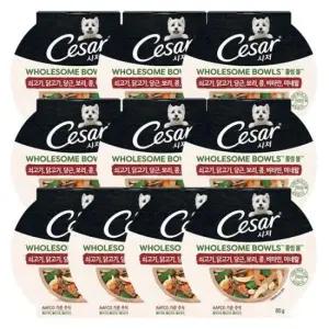 개밥 강아지 습식 사료 홀썸볼 소고기 당근 화식 85g 10P