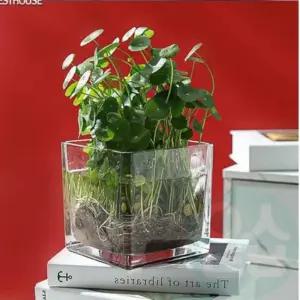 위랜드 유리 사각 화병 15x15x15cm 꽃다발화병