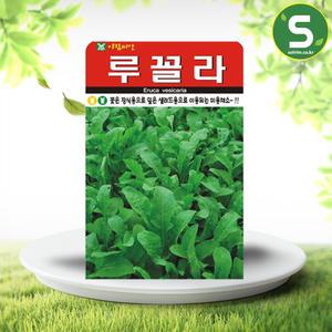 루꼴라씨앗 2000립 로켓샐러드 루꼴라 미용채소