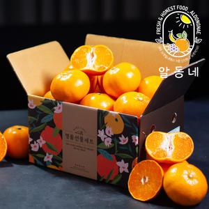 천혜향2kg소과(12과내외)벌크포장