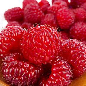 당일수확 싱싱한 생 산딸기 250g*2팩/250g*4팩