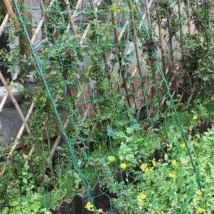 넝쿨 네트 그물망 원예 식물 오이 텃밭 가든 재배 넝쿨네트 그물망