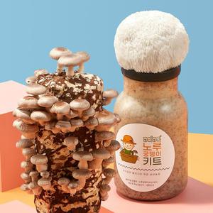 표고+노루궁뎅이 버섯 키우기 키트