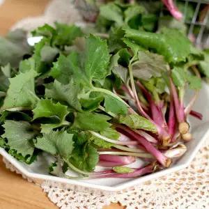 [철따라농산물]남해 햇 머위순 머위나물 특품 1kg