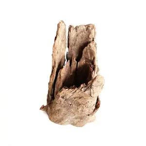 [모비딕]그루터기 유목(소) 15~20cm