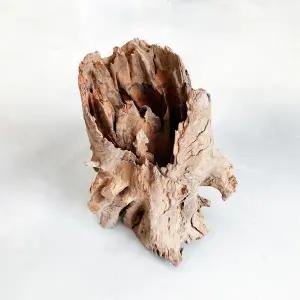 [모비딕]그루터기 유목(중) 20~25cm