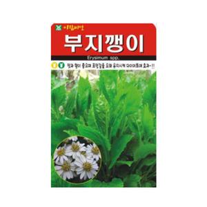 부지깽이씨앗 100립 부지갱이 나물 씨 종자