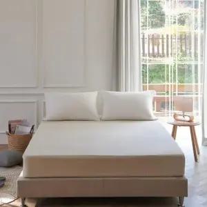 아트박스 르헤브 레이지 고밀도 피치스킨 홑겹 매트리스 커버  퀸)