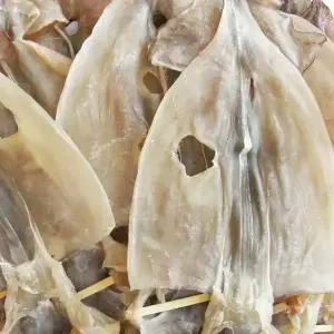 마른오징어 파품1kg 건조오징어