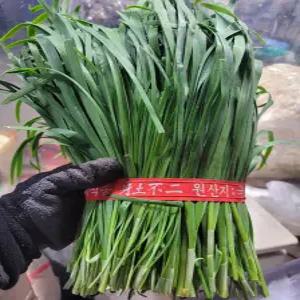 부추 1kg 1단 야채맘